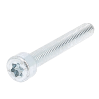TC Torx M2X20 Acier Classe 8.8 Acier Zingué Blanc ISO 14579