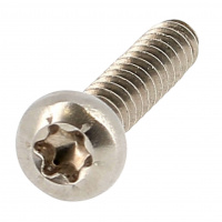 Cilindrische bolkop breed Torx