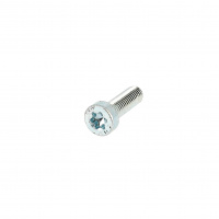 TC Torx M5X25 Acier 8.8 Zingué Blanc ISO 14580