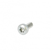 Draadvormend cilindrische bolkop Torx Blank verzinkt staal Din 7500C
