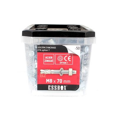ESSBOX de 50 Goujons d'Ancrage 8X80 Acier