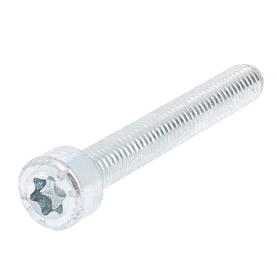 TC TORX M3X6 ACIER 8.8 Z.BLANC ISO 14579