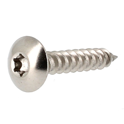 Vis de Penture Tête Ronde Large Torx Inox A2