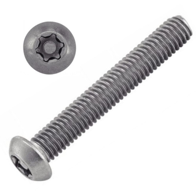 VIS INVIOLABLE TB TORX + TETON M5X10 INOX A2