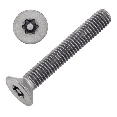 VIS INVIOLABLE TF TORX + TETON M5X30 INOX A2