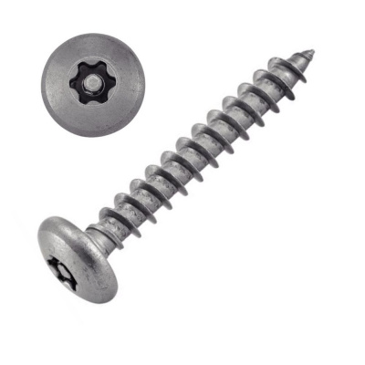 VIS TOLE INVIOLABLE TETE BOMBEE TORX + TETON 4.8X32 INOX