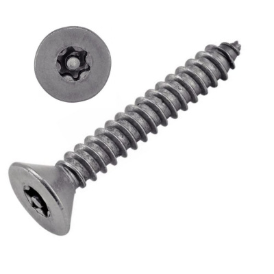 VIS INVIOLABLE TOLE TF TORX + TETON 4.2X38 INOX A2