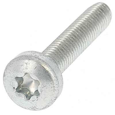 Draadvormend cilindrische bolkop Torx Blank verzinkt staal Din 7500C