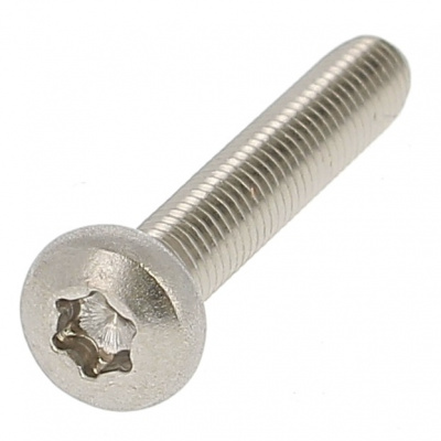 Draadvormend cilindrische bolkop Torx RVS A2 Din 7500C