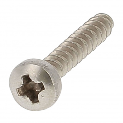Eco-Syn voor thermoplastics cilindrische bolkop Pozidrive RVS A2