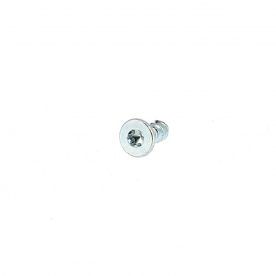 Plastite verzonken kop Torx WN 1423 Blank verzinkt staal