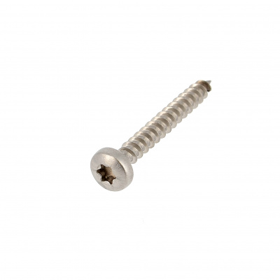 Hout- en spaanplaatschroef TORX RVS A2