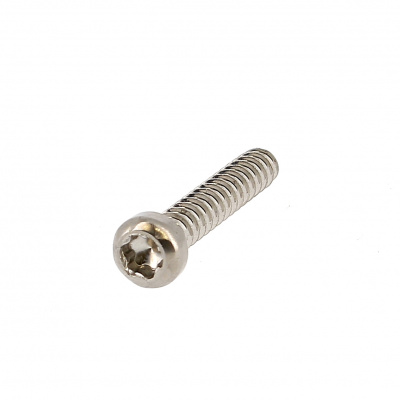 Plastite cilindrische bolkop Torx WN 5452 RVS A2