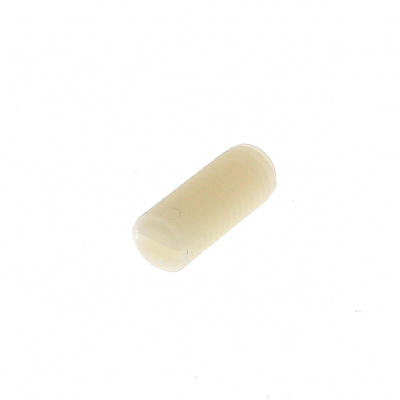 Vis sans tête Fendue Bout plat Nylon Naturel PA6-6 DIN 551