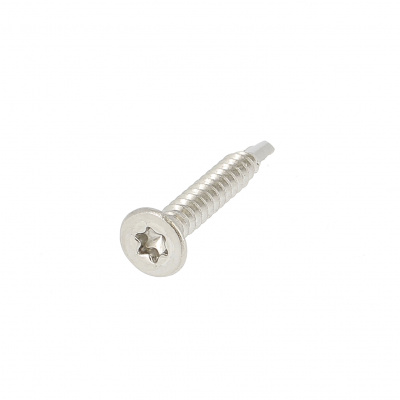 Autoperceuse TF Torx Inox A2 Din 7504O