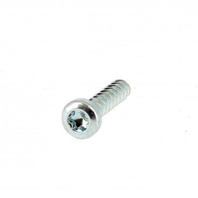 Plastite cilindrische bolkop Torx WN 1452 Blank verzinkt staal