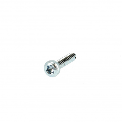 Plaatschroef cilindrische bolkop breed Torx Blank verzinkt staal Iso 14585C