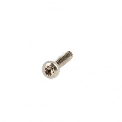 Plaatschroef cilindrische bolkop breed Torx RVS A2 Din 7981X