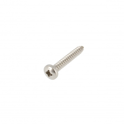Plaatschroef cilindrische bolkop breed Pozidrive RVS A4 Din 7981